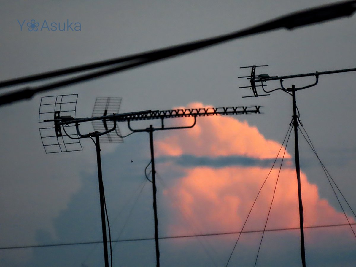 yumeasutw's tweet photo. 久しぶりのお月様🌓

お疲れ様です🏁
黒雲が北へ抜け
南から #青空 が広がり始めた
日の入り間近。
南の空に🌓 #弓張月 (月齢7.0)が姿を現しました💙
#月面X もハッキリと確認出来ます👀
南の彼方に茜色に染まる #入道雲 ❤️

#空の名前
#天気の図鑑 #雲友の会
#夕空
#月 #moon
#a2022 #a0903 #a202209 https://t.co/vKhoNEQXfy