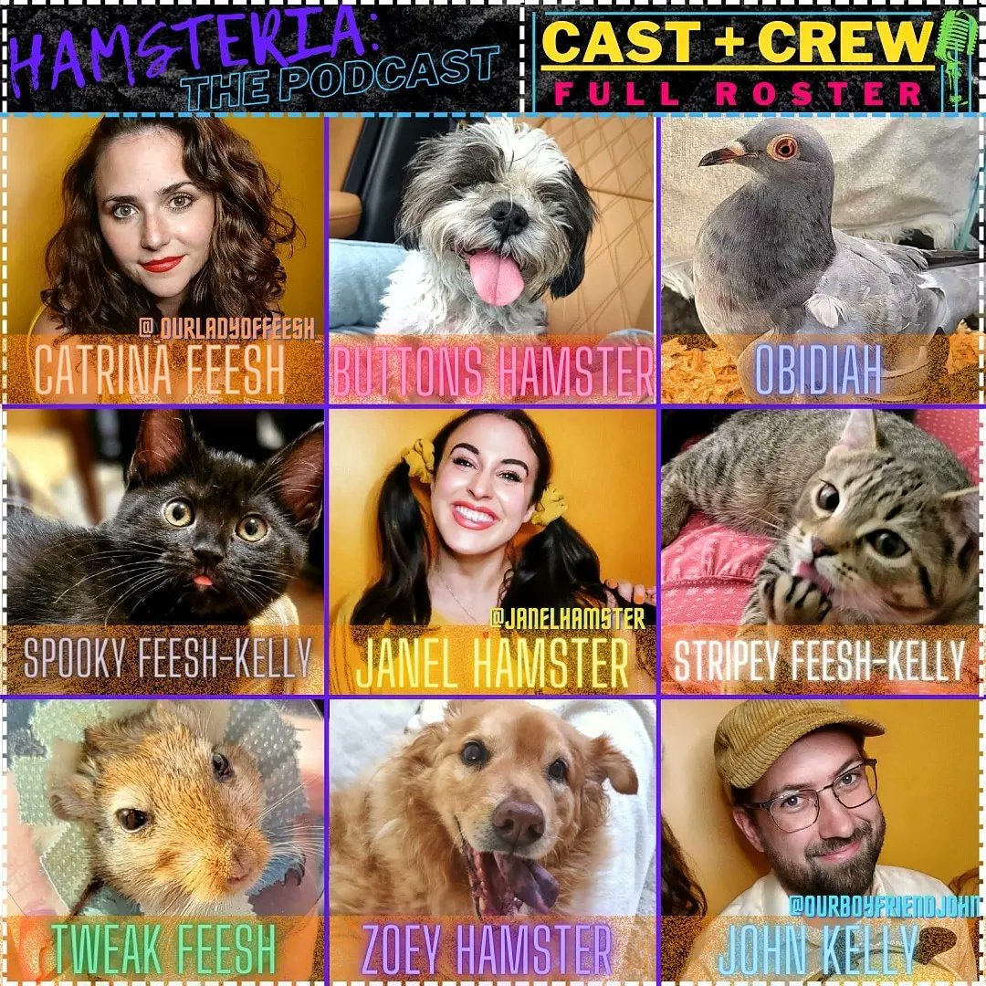hamsteriathepod's tweet photo. This is late up because I forgot we had a Twitter. Happy (belated) Thursday, y'all! We're counting down to the @hamsteriathepod Pilot Release TOMORROW (YESTERDAY), Friday, September 2nd, 2022. We'll be dropping in the evening. Stay tuned for details ✨
.
.
.
#hamsteria https://t.co/Phu0QB7sWy