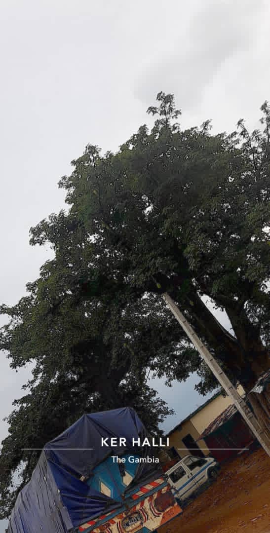 #Eco_Boots_Camp
Avant goût de l'étape Médina Yoro f
Foulah à #Pata   avec <a href="/UrgencEco/">Urgence Ecolo Senegal</a> <a href="/GuelwarUE/">Mahamadou Soumbounou</a> <a href="/Jve_Senegal/">JVE SENEGAL 🇸🇳</a> <a href="/GreenTeamSN1/">Green Team SN</a>