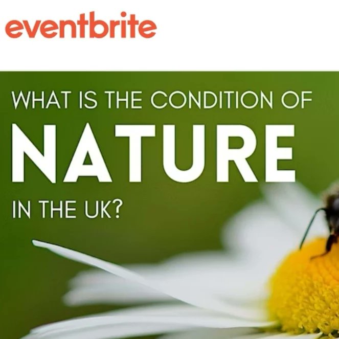 ConChatUK's tweet photo. ⚠️September's online events⚠️
We have 5 events taking place this month. Check them our below 🎫⬇️🎫⬇️🎫⬇️🎫⬇️
https://t.co/JEslgagxie
#nature #wildlife #conservation
#conservationchatuk #animals
#events #whatson #ecology https://t.co/GmaGpdWJmM