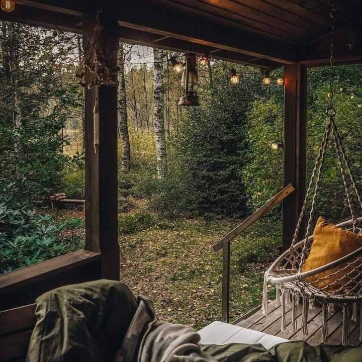 aperfectpumpkin's tweet photo. my soul needs this https://t.co/4VHtiIXPQr