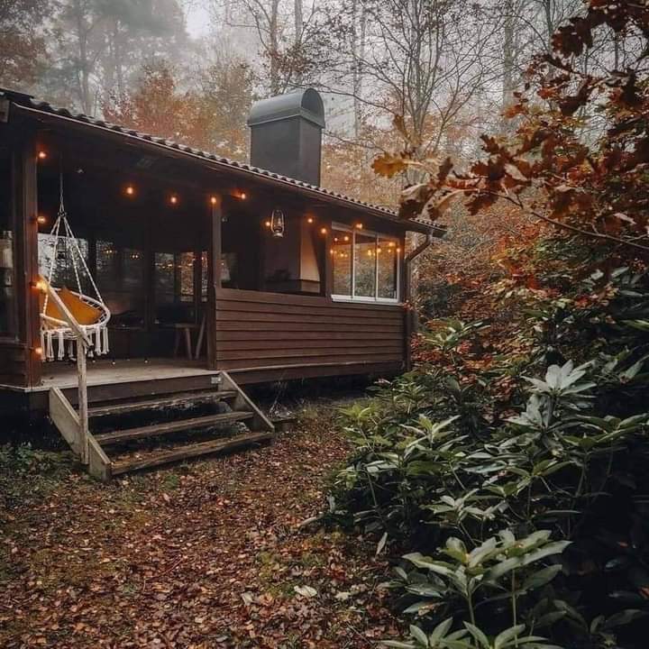aperfectpumpkin's tweet photo. my soul needs this https://t.co/4VHtiIXPQr