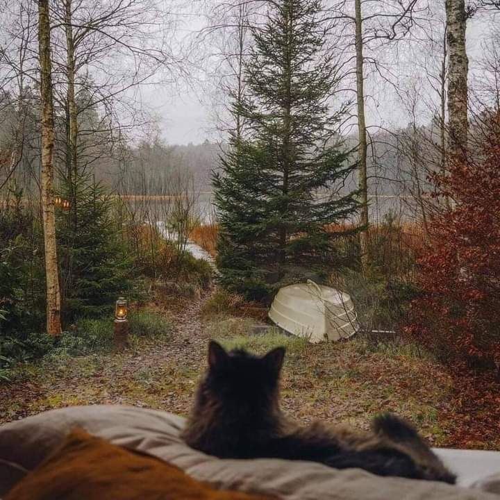 my soul needs this