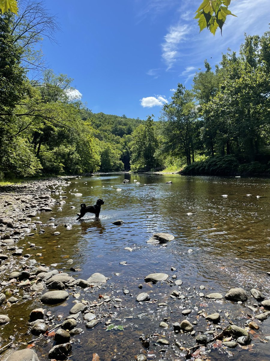 thelucygoose's tweet photo. Getting outside this long weekend! Great walk on the Farmington River. #ACSCEOchallenge https://t.co/8imYBleK7U