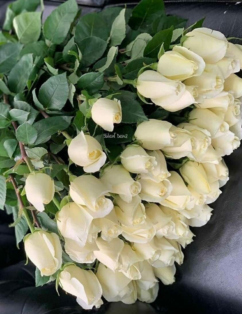 Kim size değer veriyor
Ve zaman ayırıyorsa
Sizde ona .VEFA.
Hediye edin
Çünkü gerçek dost
Insana zamanını
Ayırandır...

HAYIRLI MUTLU
HUZUR DOLU. AKŞAMLAR