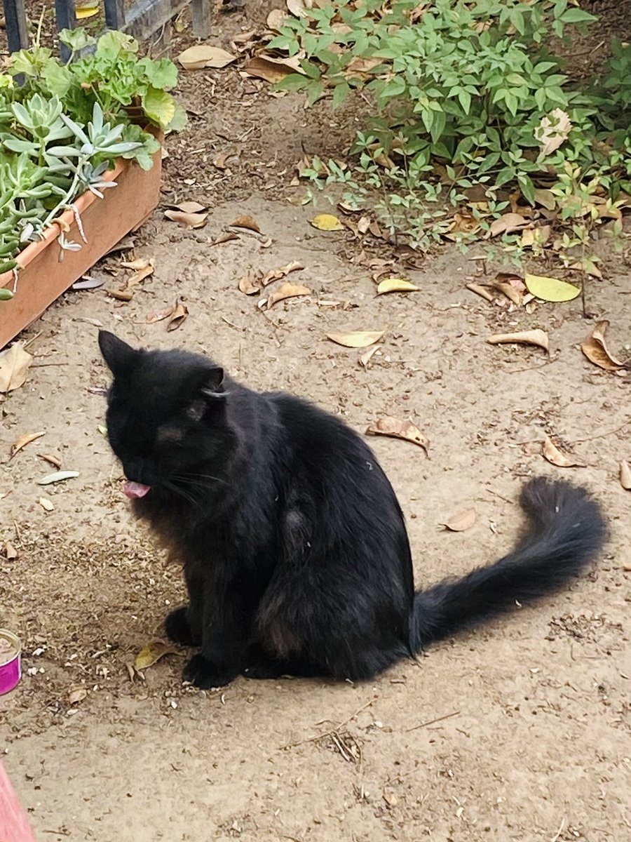 Mandy B. ☮️ tweet media