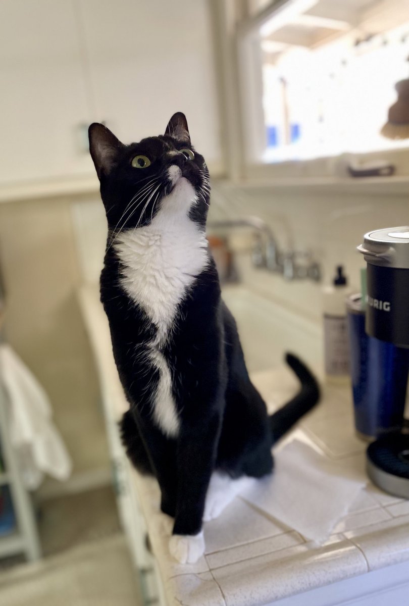 Mandy B. ☮️ tweet media