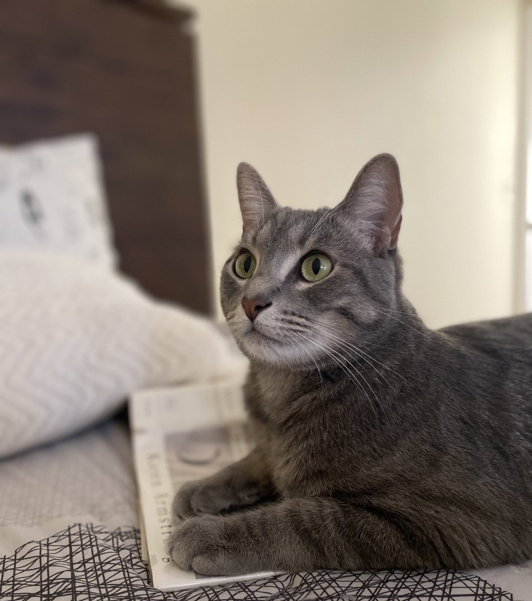 Mandy B. ☮️ tweet media