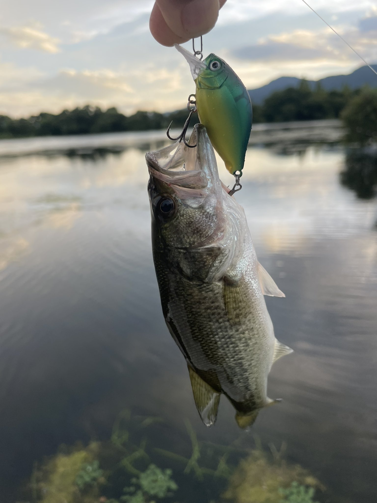 村上晴彦 (haruhiko_m) / Twitter