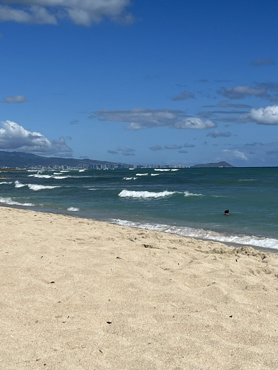 4dani9's tweet photo. Daily dose of vitamin sea ☀️🌊 https://t.co/fnSWLqAnEK
