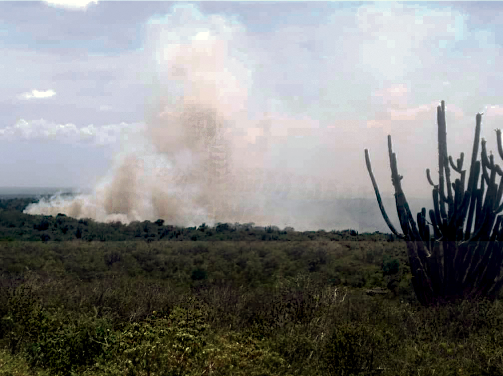 clima21_VE's tweet photo. Actualización de info sobre #Incendio en Reserva Biológica de #Montecano #Falcón El mismo fue detectado el #1Sept en el Sector Pizarral Se observaron 7 focos de incendios que afectaron 50 ha de vegetación El fuego fue extinguido en horas de la noche del día #2Sep
Abrimos hilo🔥 https://t.co/zX0j4fzzY8