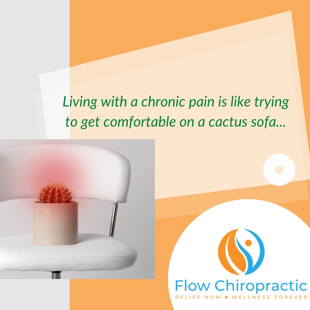 DrAndreaBlake's tweet photo. #getinflow #flowchiropractic #chiropracticworks #getadjusted #holistichealth #backpain #neckpain #migrainerelief #chicagochiropractor #chiropractornearme #chicagobusiess #chicagoblackbusiness #healing #lowbackpain #wellnessforever https://t.co/yxzzyG6q8k