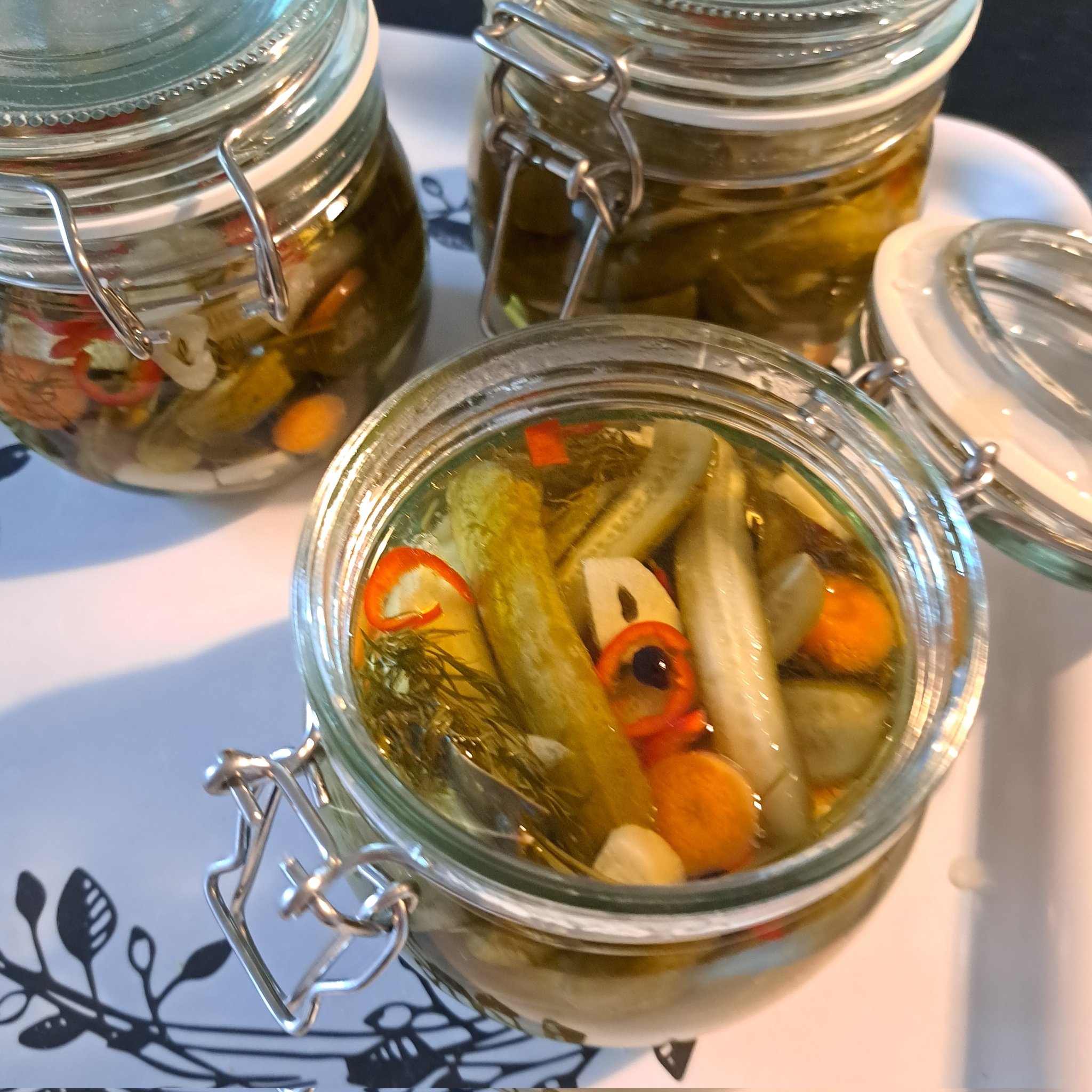 Nicolas Moutschen 🦀 on Twitter "Today in adulting homemade pickles