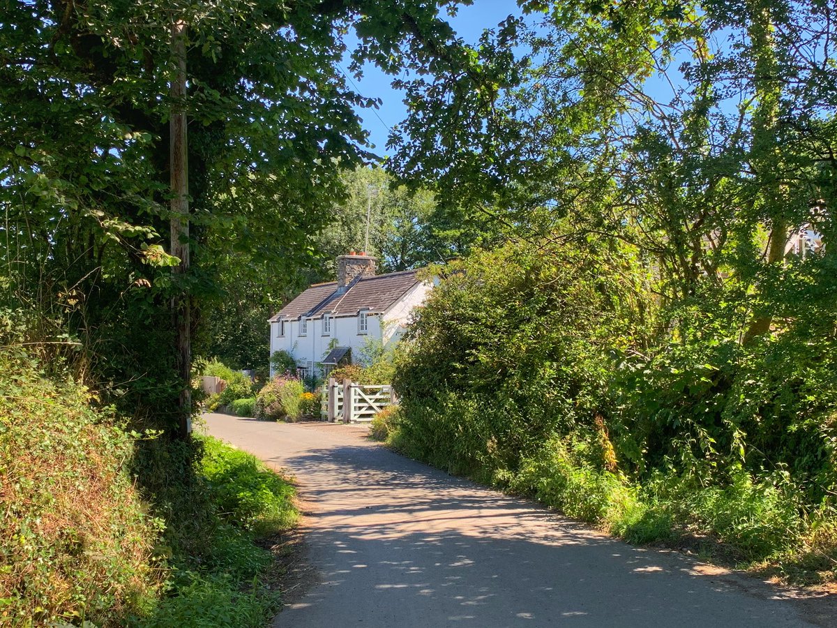waves_wings's tweet photo. The beautiful lanes of Chillaton Devon. #devon #devonlanes #englishlanes #englishcountryside #Dartmoor https://t.co/i3L8ogAvFl