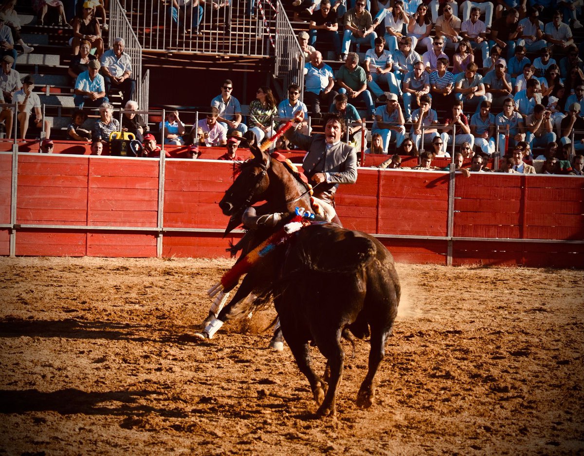 AndresRomeroWeb's tweet photo. 🔴 CUBA || Para poder llegar a tiempo a @merida_toros, @Romero1Andres ha toreado ya su segundo #toro. Vuelta al ruedo tras faena de mucha conexión con el tendido con #Copito, #Meridio y #Kabul
#siempreRomero https://t.co/cFtRrNHV6M