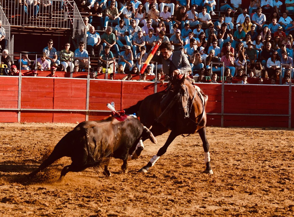 AndresRomeroWeb's tweet photo. 🔴 CUBA || Para poder llegar a tiempo a @merida_toros, @Romero1Andres ha toreado ya su segundo #toro. Vuelta al ruedo tras faena de mucha conexión con el tendido con #Copito, #Meridio y #Kabul
#siempreRomero https://t.co/cFtRrNHV6M