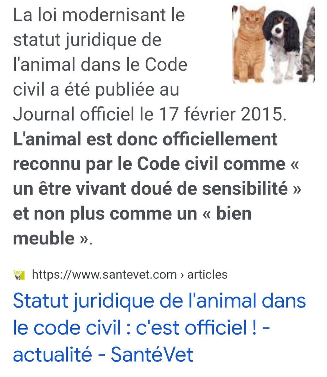 Lea_Murat23's tweet photo. Des prêches récents de #Iquiouissen ramènent  la femme à un objet 😐

Statut de l'animal dans la loi française ⤵️ https://t.co/AIqUqOYOzt