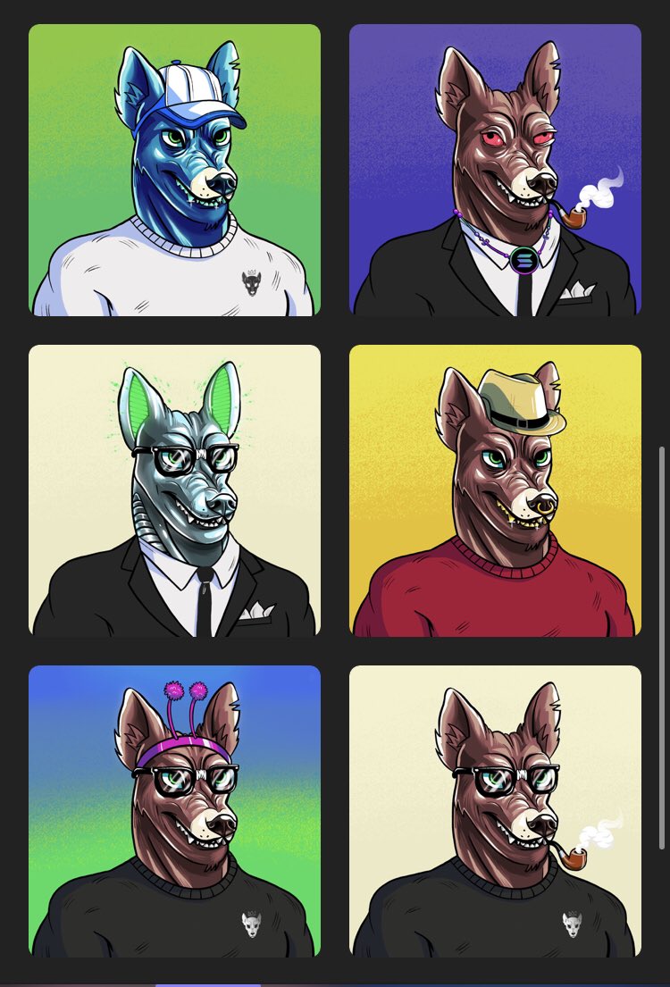 Filipe Pinheiro (EE) tweet media