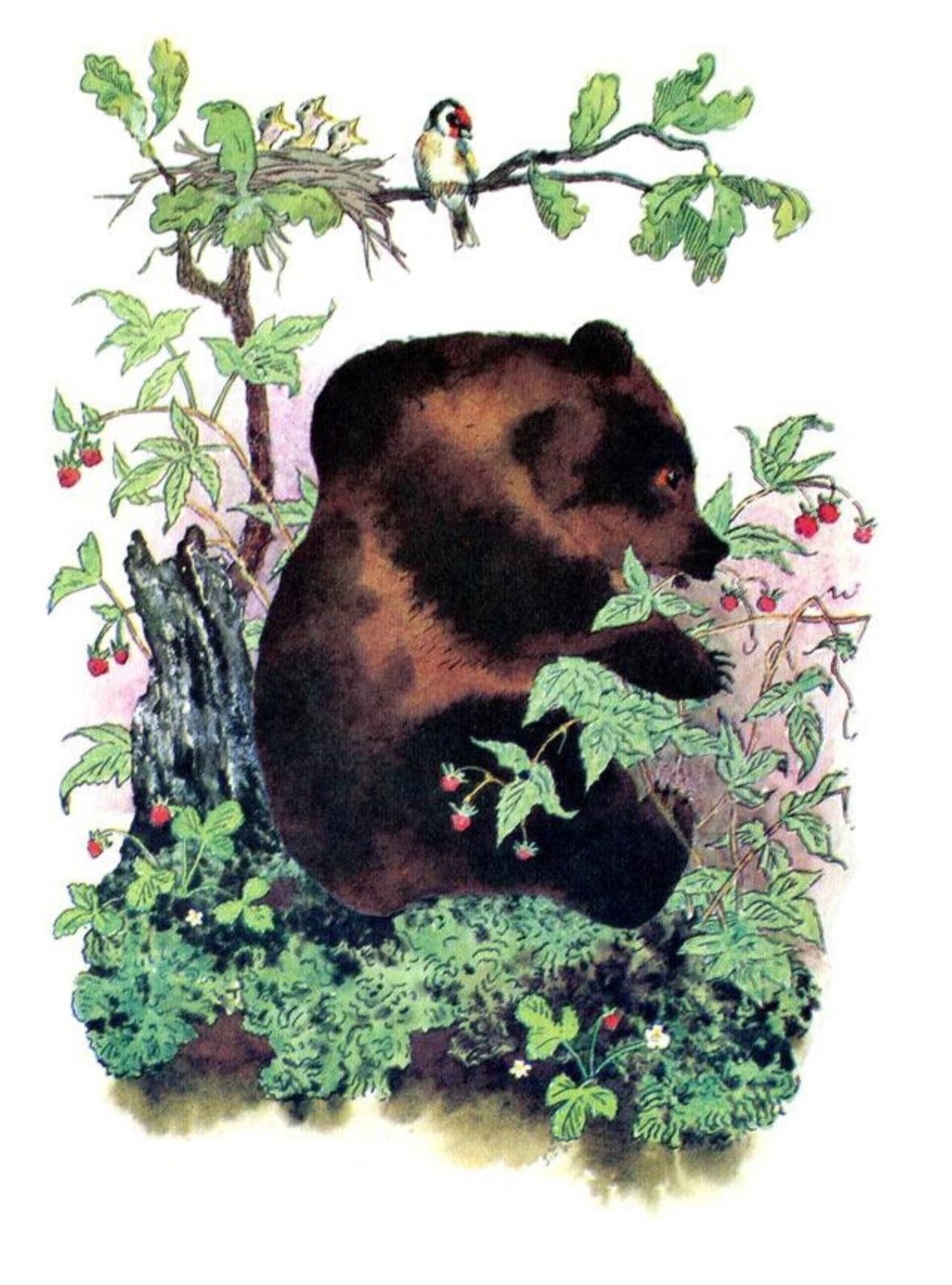 Медвежонок в малиннике