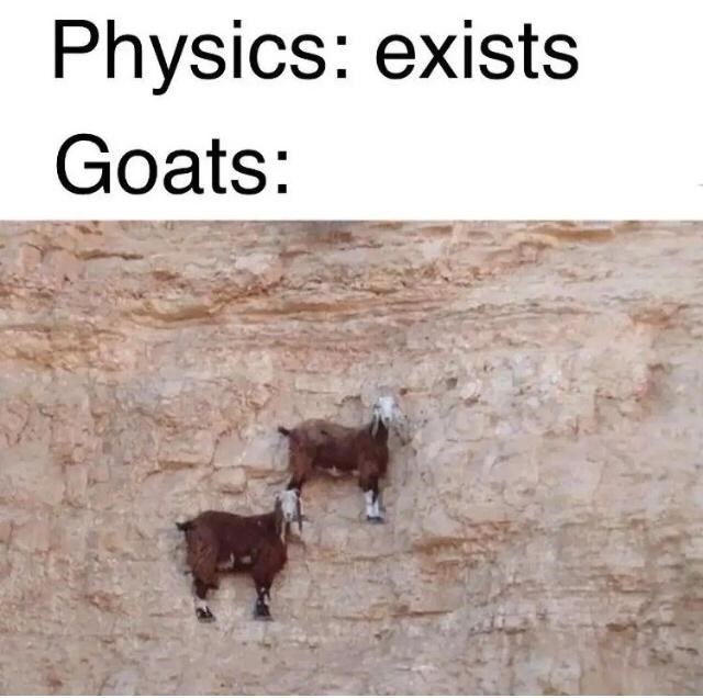 WholesomeMeme's tweet photo. https://t.co/psOzdqt1oD