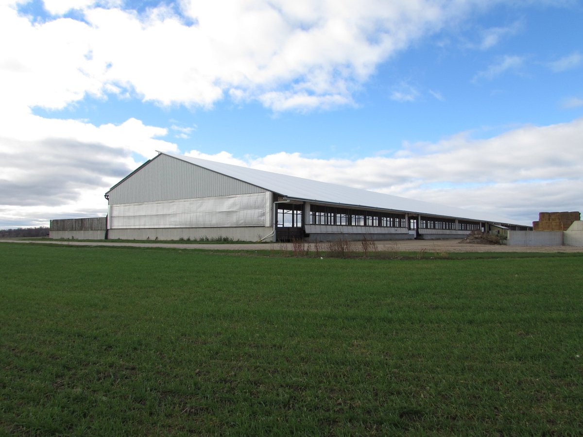 WeCover_Steel's tweet photo. This #WeCover beef barn located in Alisa Craig, Ontario is 96โ x 736 long.
Is this your sign to take your beef barn operation to the next level? You can do this with a WeCover building. We work with the end user, or the builder, and deliver you a facility you will be proud of. https://t.co/qQE5o931fE