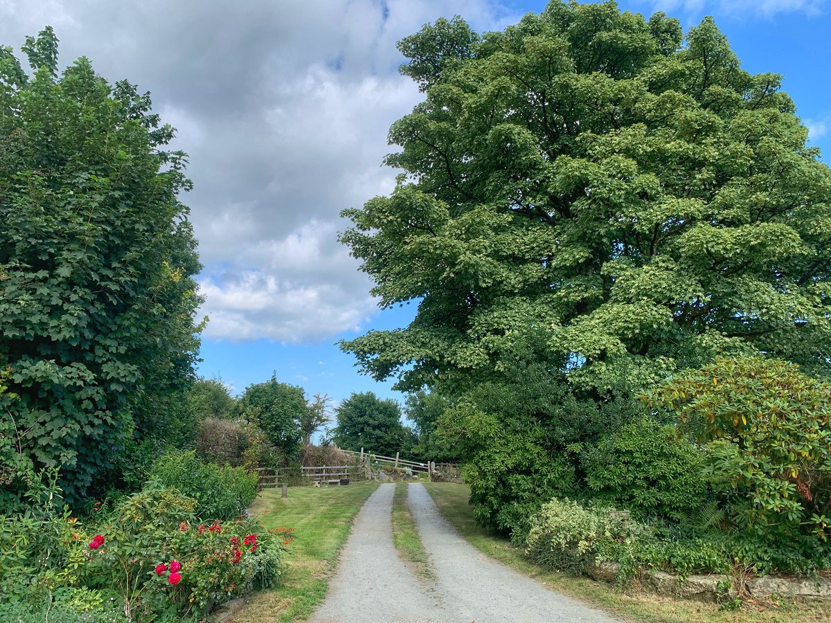 waves_wings's tweet photo. A lovely bed &amp; breakfast farmhouse stay at Killworthy Farm near Tavistock Devon. #bed&amp;breakfast #devonfarmhouse #B&amp;B #fullenglish #Devon #Devoncountryside #englishfarms https://t.co/yg49mzHrqy