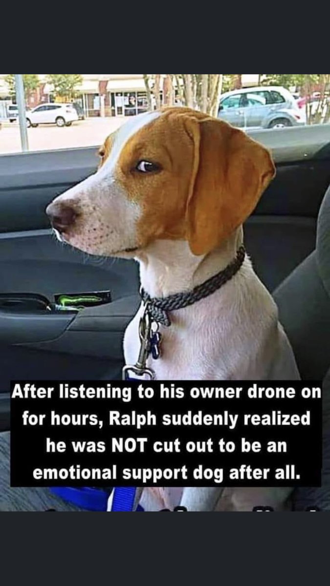 For the Love of Dogs❤️🐶❤️🌹 tweet media