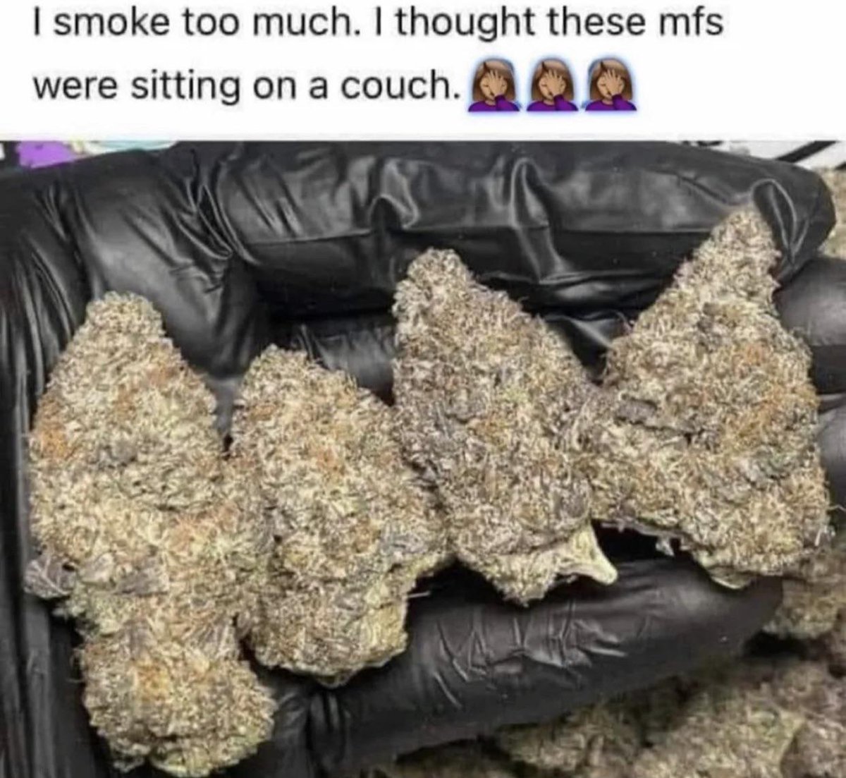 RoIIBlunts's tweet photo. 😭😭😭

Photo credit to Reddit user Background-Pickle806 https://t.co/tHxsSN70ll