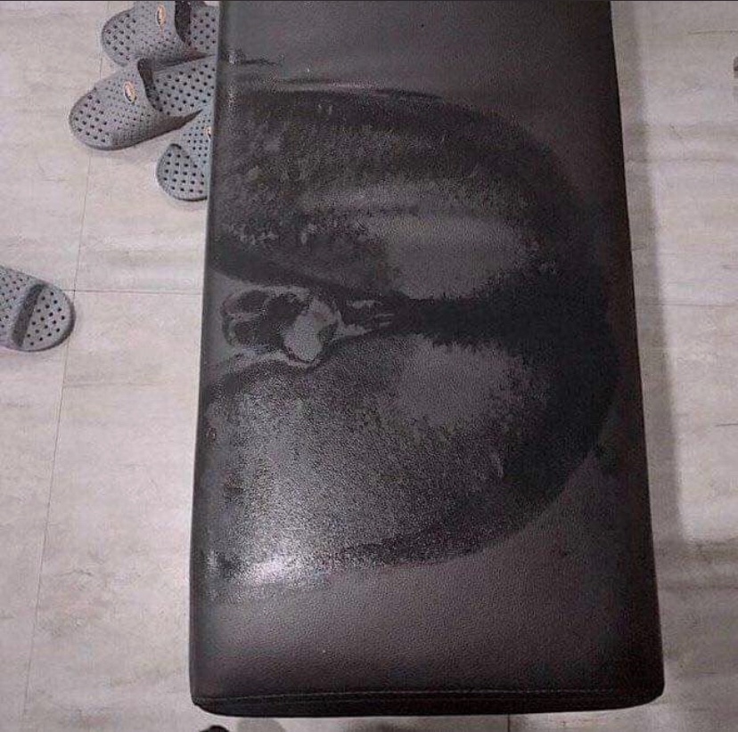 doaenel's tweet image. Played Yuumi for the first time this morning. 

For everyone who says this champ requires no skill, I took this pic after the game. 

Most mechanically intensive champ in the game by far, nothing but respect and admiration for people who can pilot this champion for hours all day