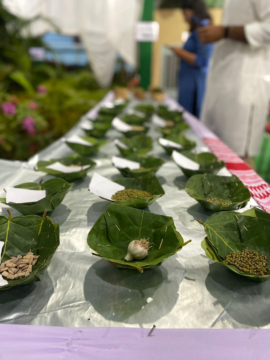 greenpeaceindia's tweet photo. Let us bring it to your kind attention our fellow followers, #Swadish has begun!!
Let us commence the celebration of uncultivated foods of indigenous communities with #AjamEmba in #Ranchi, #Jharkhand
Come and join us!
#Foodforfuture #organicfood #sustainableagriculture #climate https://t.co/4in8t7j11W