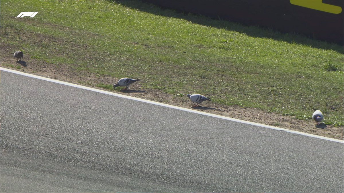 Battery Voltas tweet media