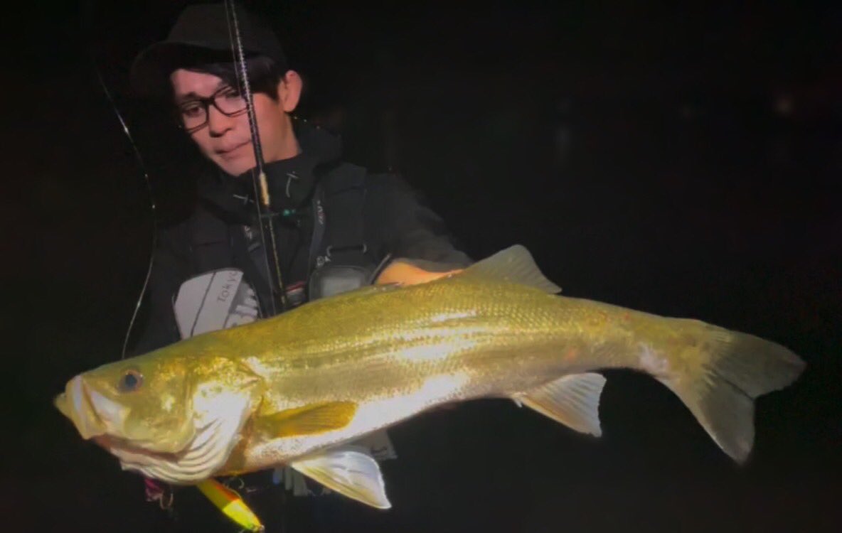 fishing0126's tweet photo. レビン明暗通してドーン
＃リバーシーバス
＃ロンジン　＃レビン https://t.co/eKd63IsgaO
