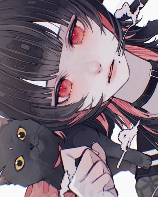 猫ちゃんと女の子の組み合わせって幸せなんだ。 