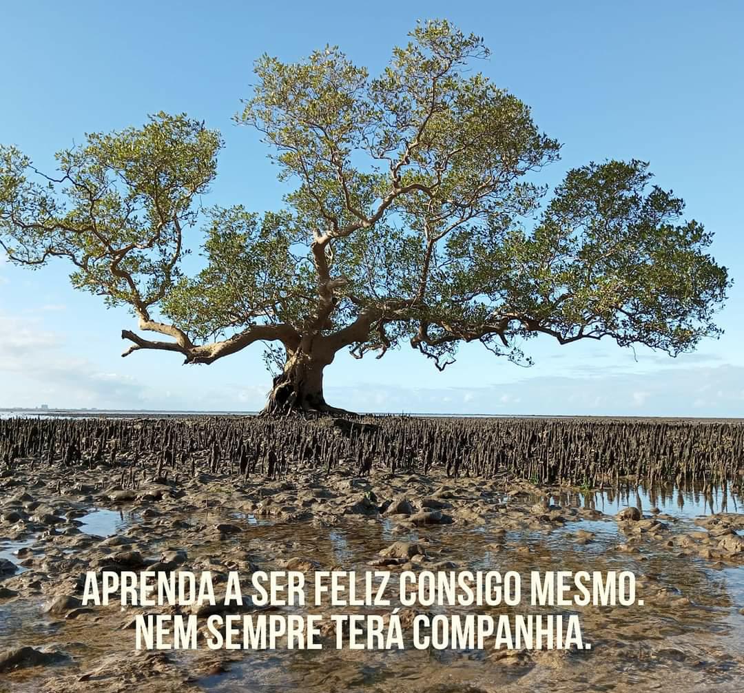 Anselmo Jorge Bata tweet media