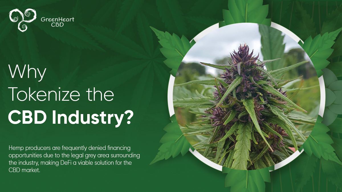 BigMooseCrypto's tweet photo. Lesssss Goooo! In partnership with @greenheart_cbd, we've got a $5k $CBD #Giveaway

5,000 $CBD coin to 1 lucky Winner. Stake and earn #passiveincome 

🟢 Follow @greenheart_cbd and 🦌 on IG @BigMooseCrypto
💚 Like RT Tag 3

Winner Picked in 2 days https://t.co/haObyfJrVd