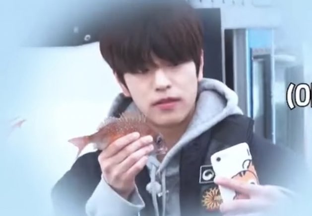 dailyseung2's tweet photo. seungmin and his beloved sea bream https://t.co/XSWS6c4amT