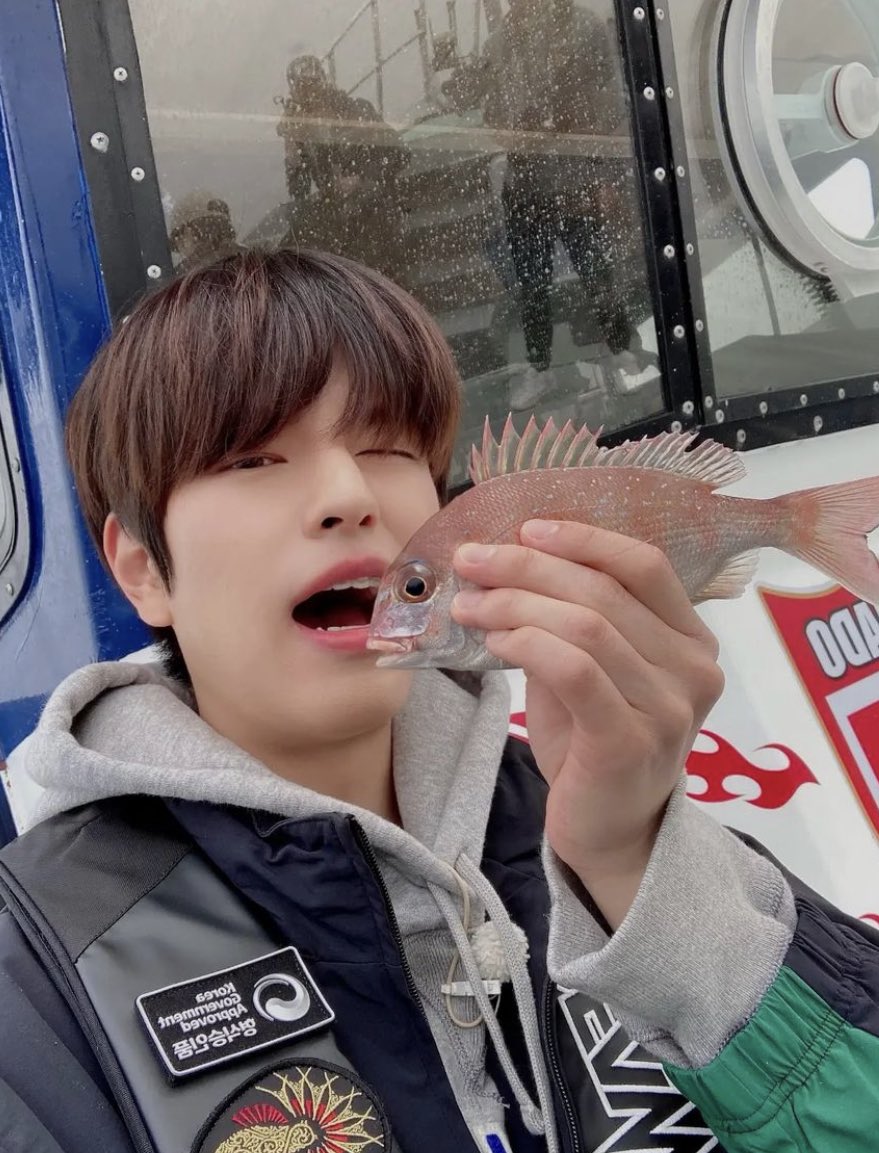 dailyseung2's tweet photo. seungmin and his beloved sea bream https://t.co/XSWS6c4amT