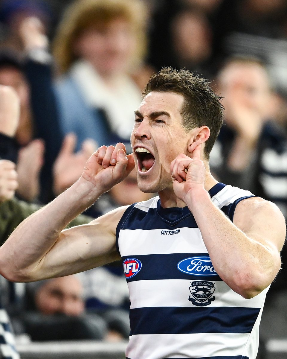 Geelong Cats tweet media