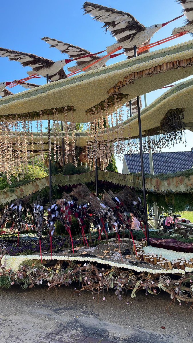 MiddendorpHL's tweet image. Yes! Corsowijk #HooiwegSchelfhorst heeft het bloemencorso @corsoeelde  weer gewonnen!!! Half jaar hard werken meer dan waard! 🎉🥳