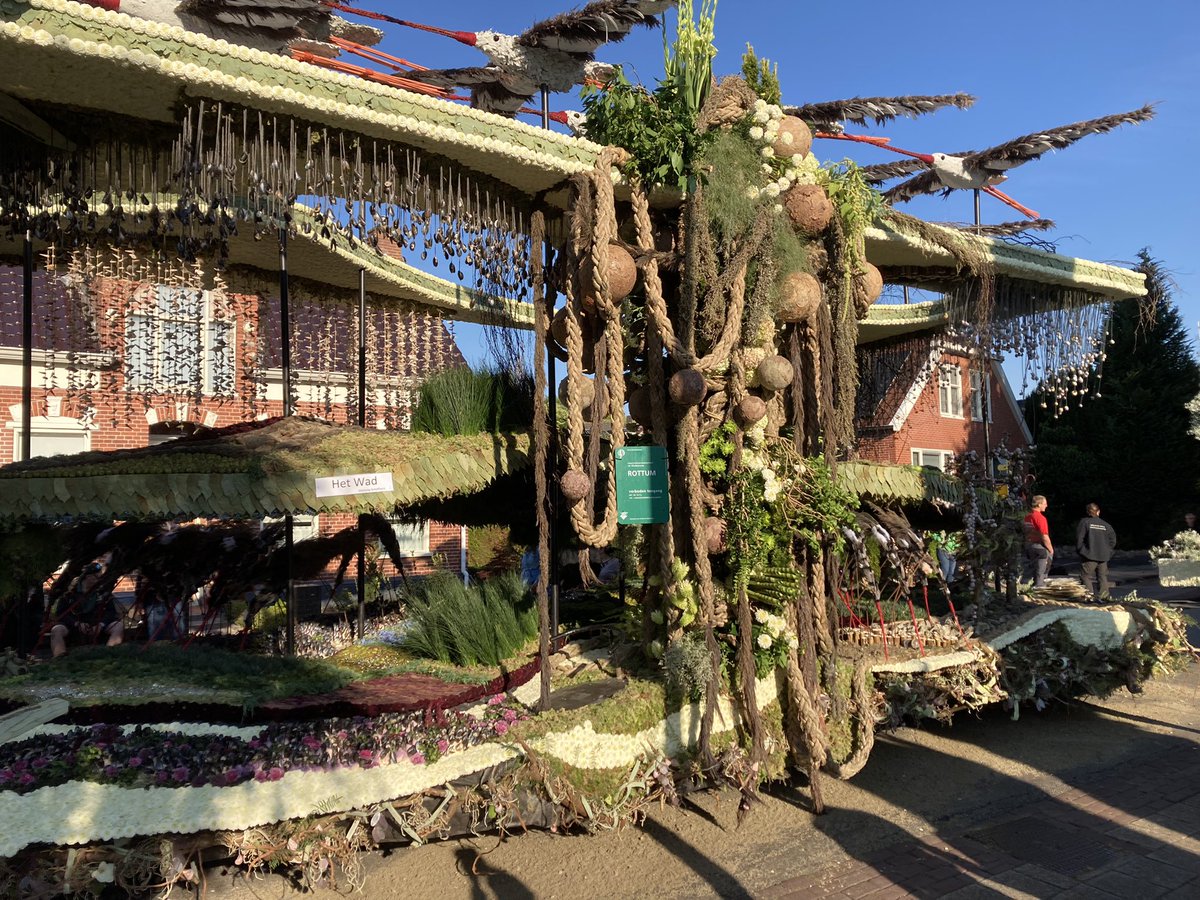 MiddendorpHL's tweet image. Yes! Corsowijk #HooiwegSchelfhorst heeft het bloemencorso @corsoeelde  weer gewonnen!!! Half jaar hard werken meer dan waard! 🎉🥳