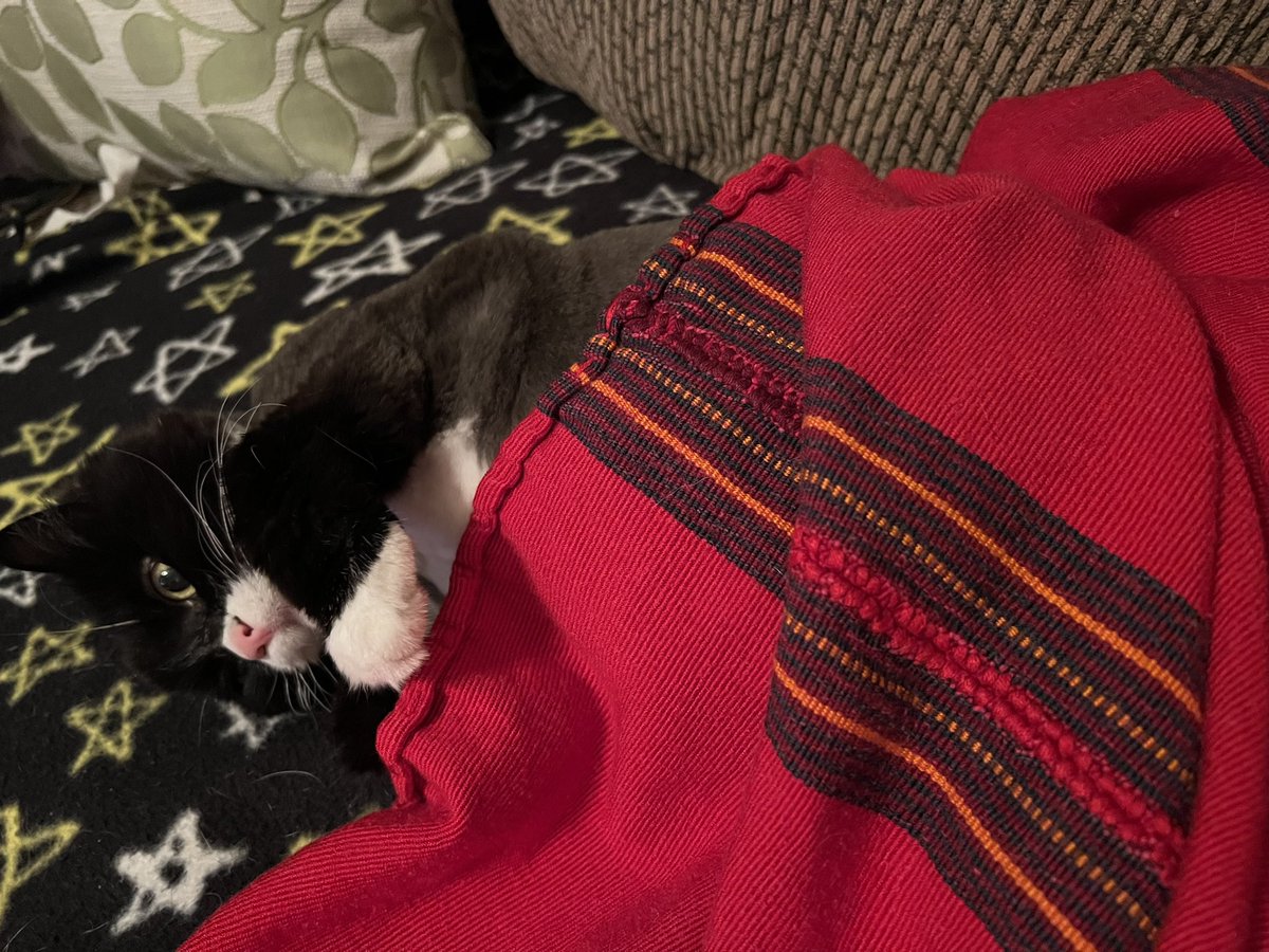 Happy Saturday, y’all! Hope everyone gets some rest over the long weekend. #Saturday #CatNap #Rest