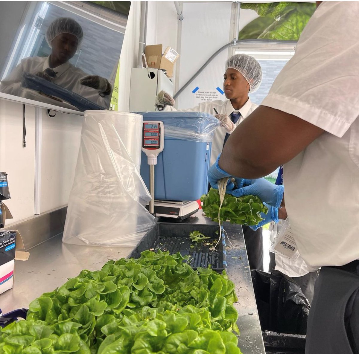 FCPSKY's tweet photo. Let's get growing! 🌱 Scholars in the Greenhouse Technology course at Carter G. Woodson Academy are starting the year off on a green note as they work in the hydroponic container farm and prep raised flower beds for fall gardening! #FCPSKY #AgForAll https://t.co/ziSmm5LedU
