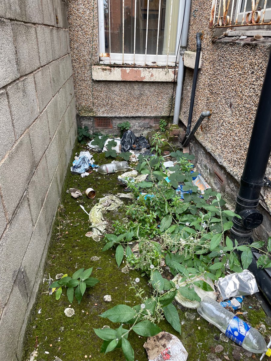 jo_allan73's tweet photo. Shit tip that’s my sons garden at his Uni accommodation.. heartwarming to see him settled in his humble abode https://t.co/RpIoSmv4kD