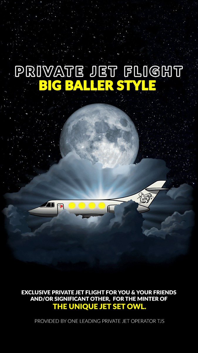 pjpp_club's tweet photo. An owl, a jet and a bunch of degens on a plane. What could go wrong? 

Giveaway alert worth 20K+ 🛩 https://t.co/z8vShnOI6g