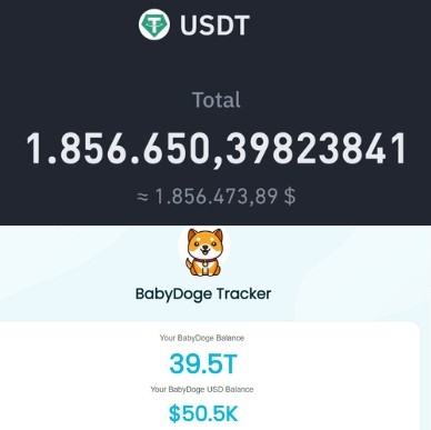Fransil39123482's tweet photo. I became a millionaire with #Shiba and I will become a billionaire with @babydoge buy and hold!

#BabyDoge #BabyDogeArmy https://t.co/LX6kYtz7Nj