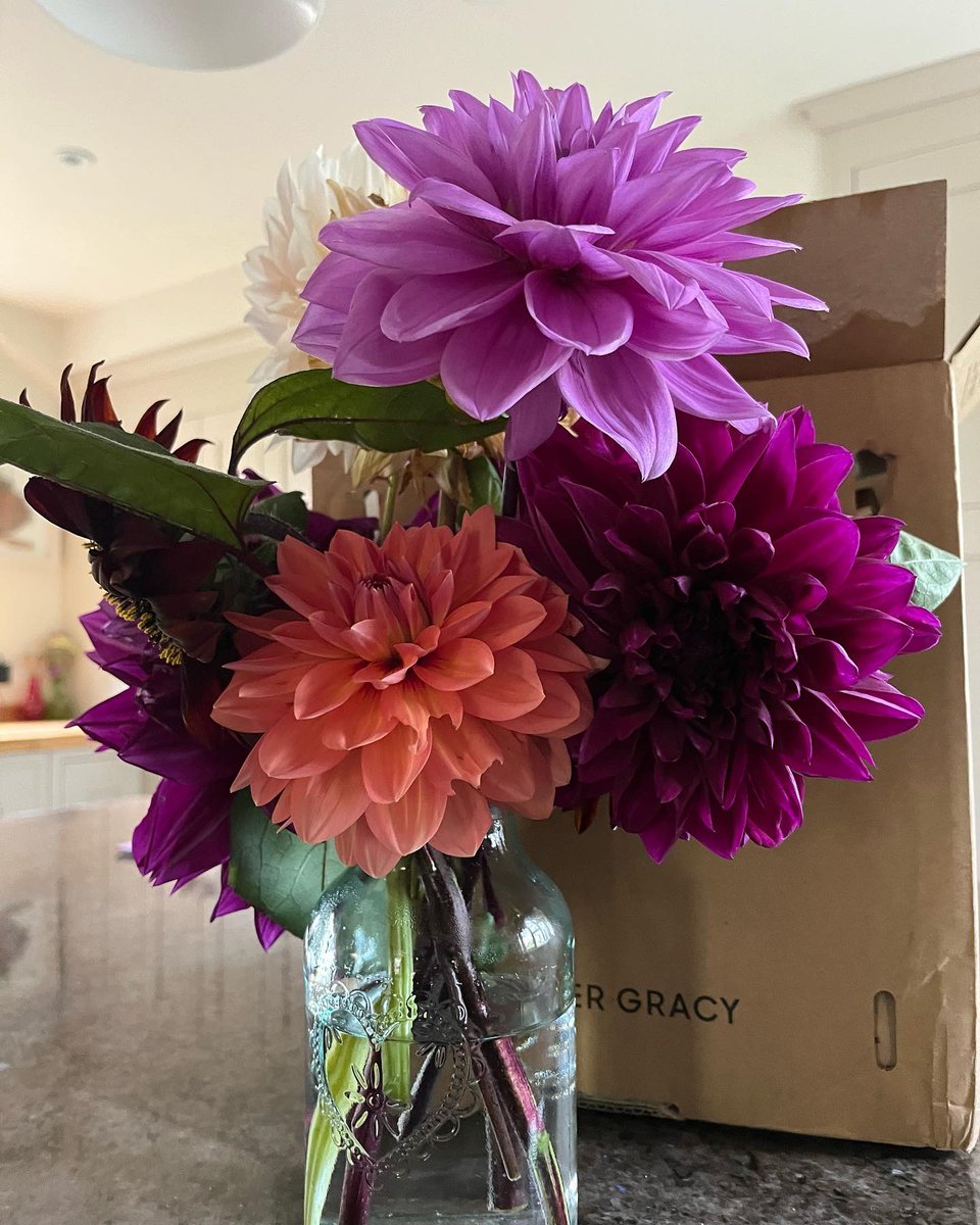 FrankieDev's tweet photo. Week 36 is a real changeover week. The vase is full of dahlias (and the odd sunflower) while a box of tulip bulbs has just arrived to herald spring 2023 #somethinginavase https://t.co/WxiajaeR3k
