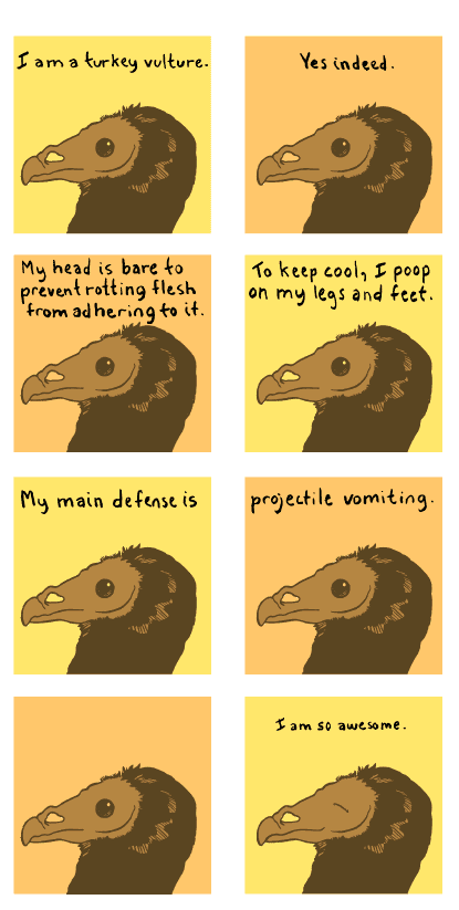 Happy #InternationalVultureAwarenessDay! In celebration, my favorite comic by <a href="/RosemaryMosco/">Rosemary Mosco (Bird And Moon Comics)</a> 

birdandmoon.com/comic/birds-ar…