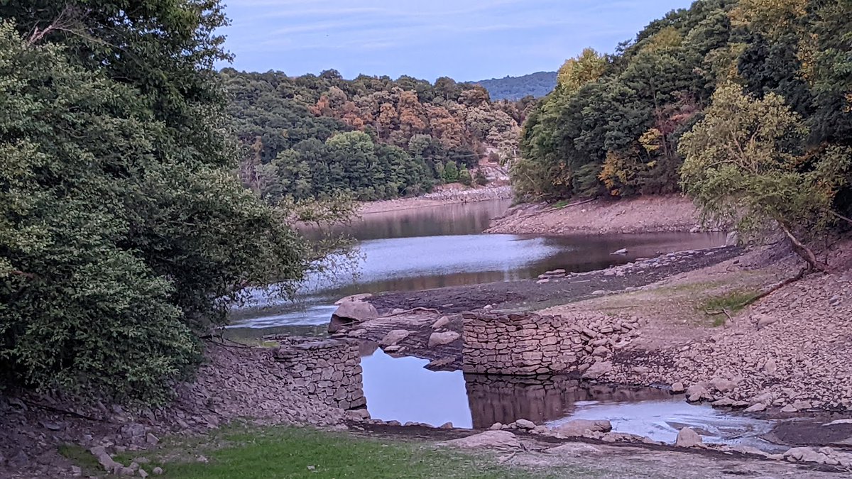 uht_fresh's tweet photo. @m_crouton That water company better've given the "Sanct" a break on that agua...It's past pool-fill season anyways! Drought is so bad, that everything under the tree base in this NJ reservoir is normally hidden underwater when full #WaterWaterEveryHare #DroughtisReal https://t.co/7tyBZcxOdb