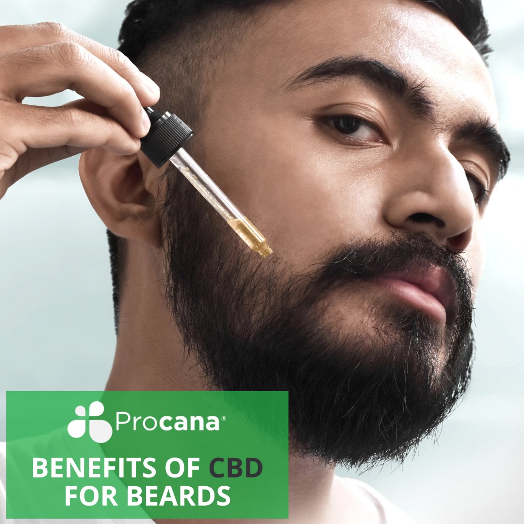 procana's tweet photo. CBD oil is known to nourish the hair follicles and promote growth, making it an ideal choice for those who are hoping to achieve a fuller beard. Read more at https://t.co/Ca5Dsui2vU. Happy Beard Day! 🕺🏼 
#procanacbd #worldbeardday #cbd #cbdoil #cbdlifestyle #cbdwellness #wellness https://t.co/6TyUXicyvM