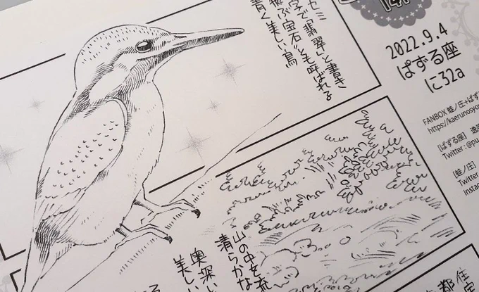 ペーパーできましたー!よろしければお立ち寄りくださいー🌟 
